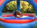 Bucking Bronco for hire
